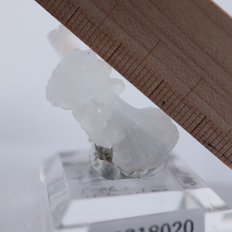 ����ɻ������ƥ���Х��ȡʥܥ�������