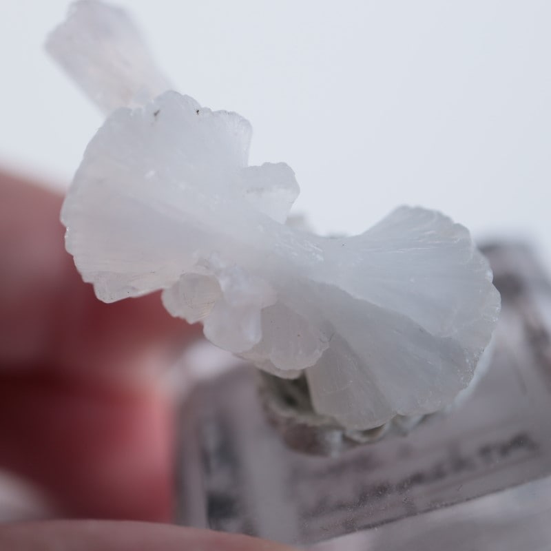 ����ɻ������ƥ���Х��ȡʥܥ�������