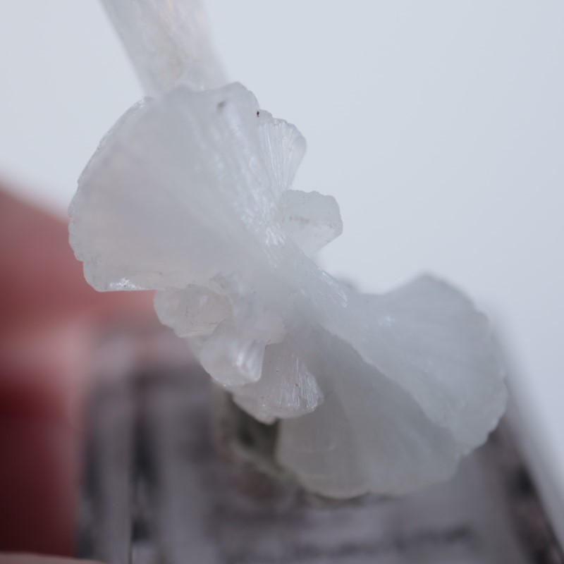 ����ɻ������ƥ���Х��ȡʥܥ�������