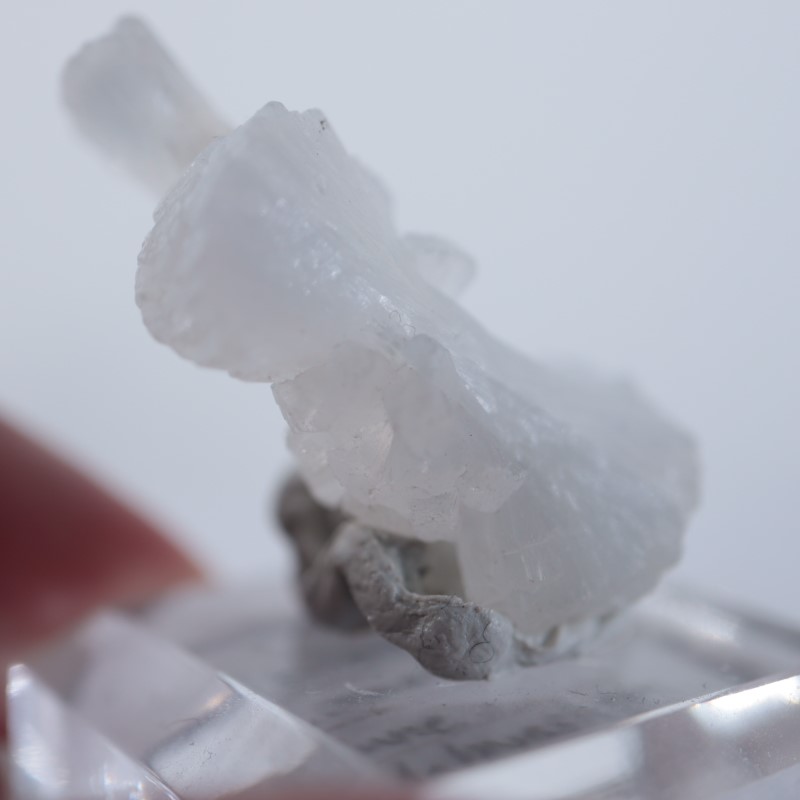 ����ɻ������ƥ���Х��ȡʥܥ�������