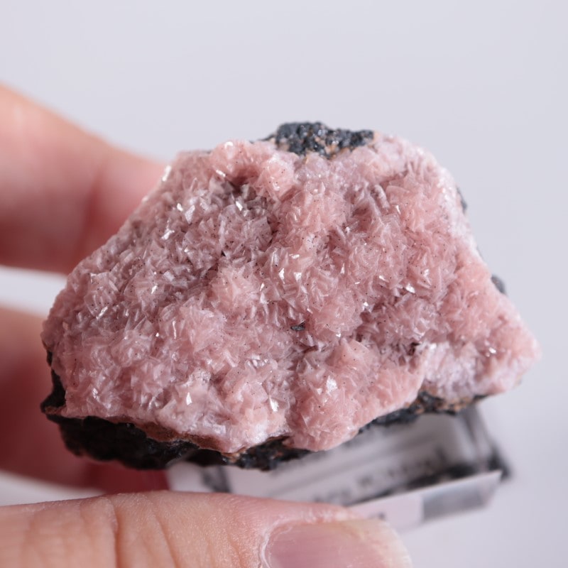 ロードクロサイト/菱マンガン鉱 (南アフリカ産) [鉱物標本/天然石] 鉱物 標本 犬牙状 菱マンガン鉱 結晶 原石】南アフリカ ドック