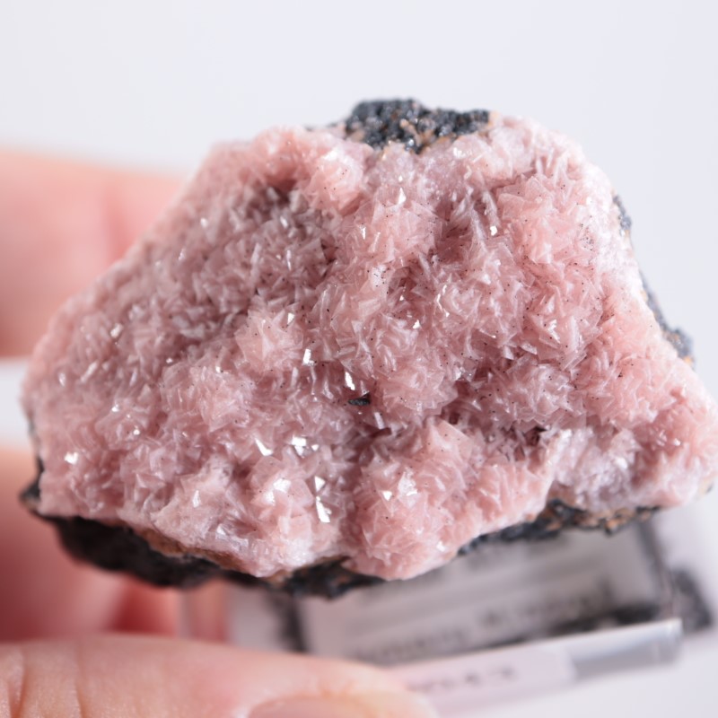 超希少　南アフリカ　ロードクロサイト 菱マンガン鉱　鉱物 南アフリカ産 ロードクロサイト | 鉱物標本,ラ行,ロードクロ