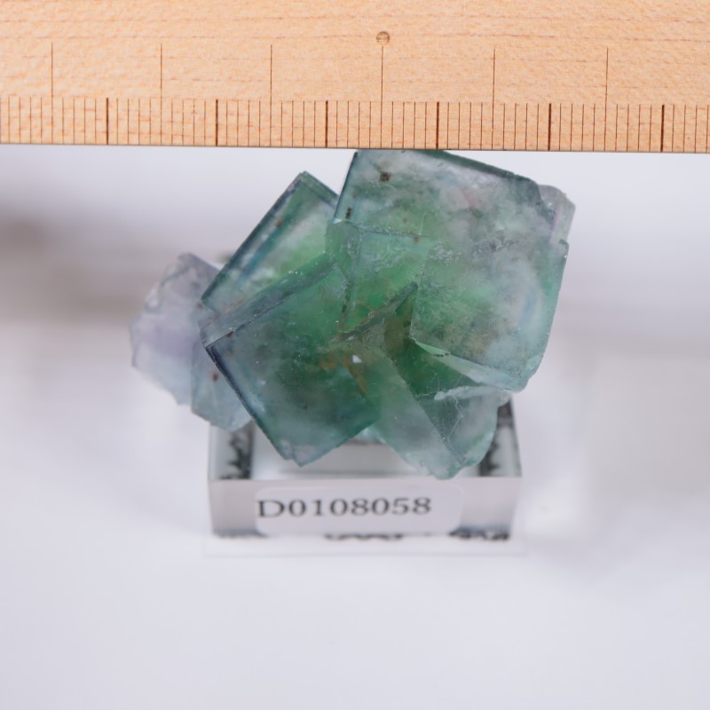 オコルス鉱山 フローライト | 鉱物標本,ハ行,フローライト/蛍石