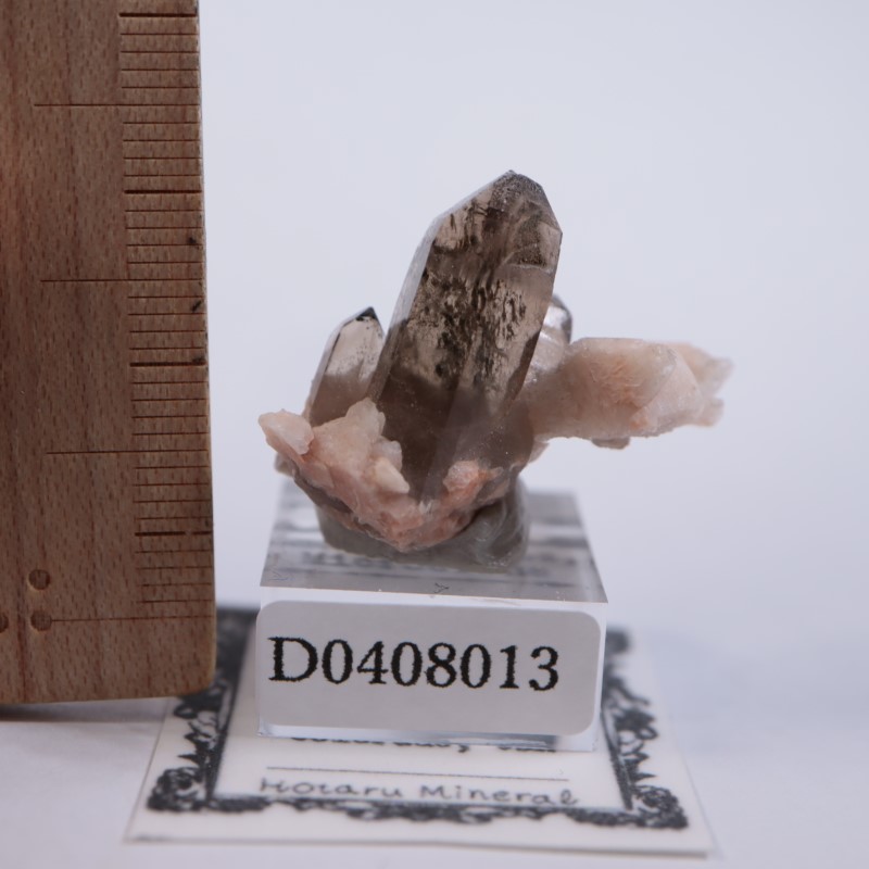 ������ɽ�����徽