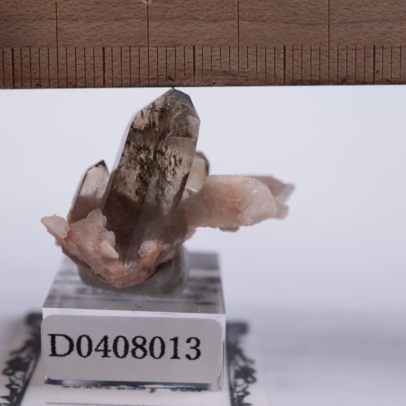 ������ɽ�����徽