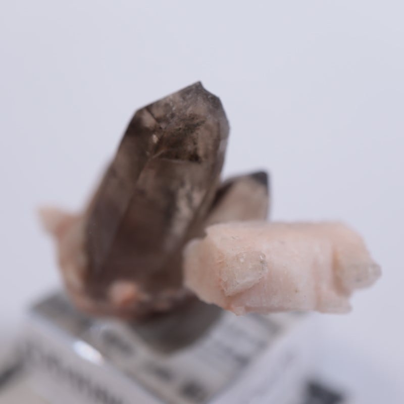 ������ɽ�����徽