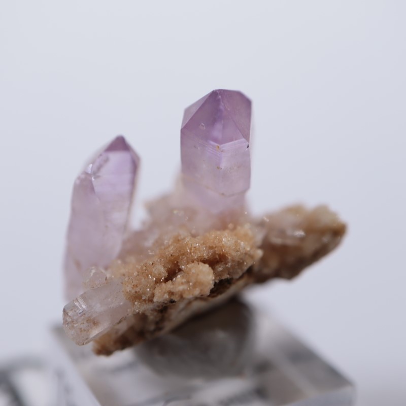 �٥饯�륹�������᥷����