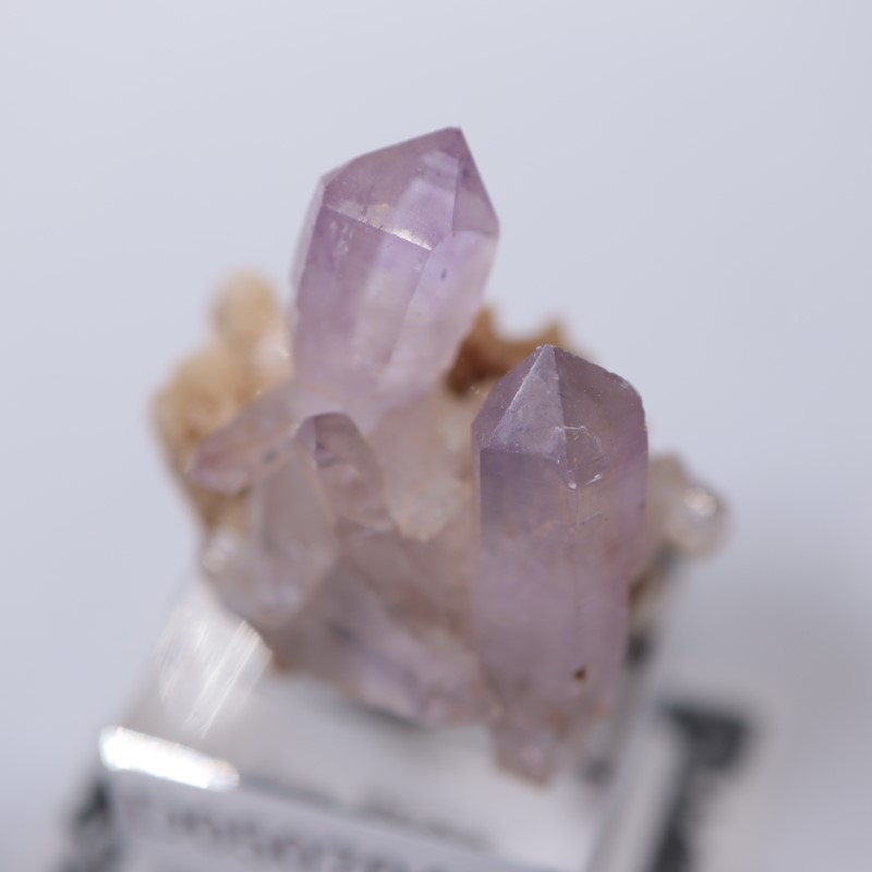 �٥饯�륹�������᥷����