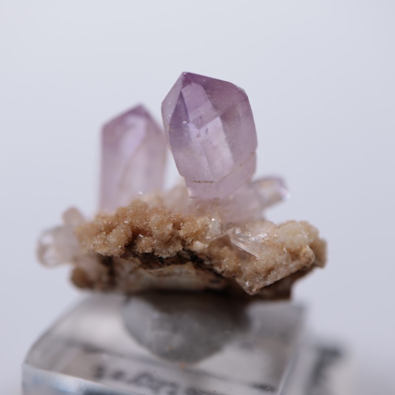 �٥饯�륹�������᥷����