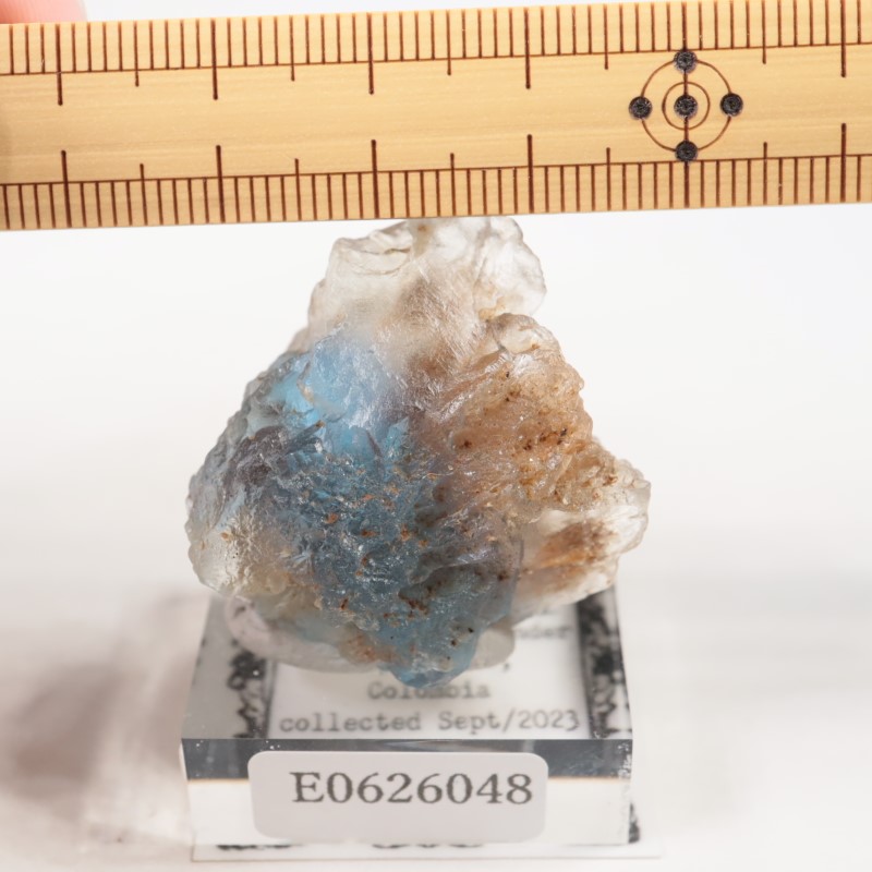 ������ӥ������ե����饤��