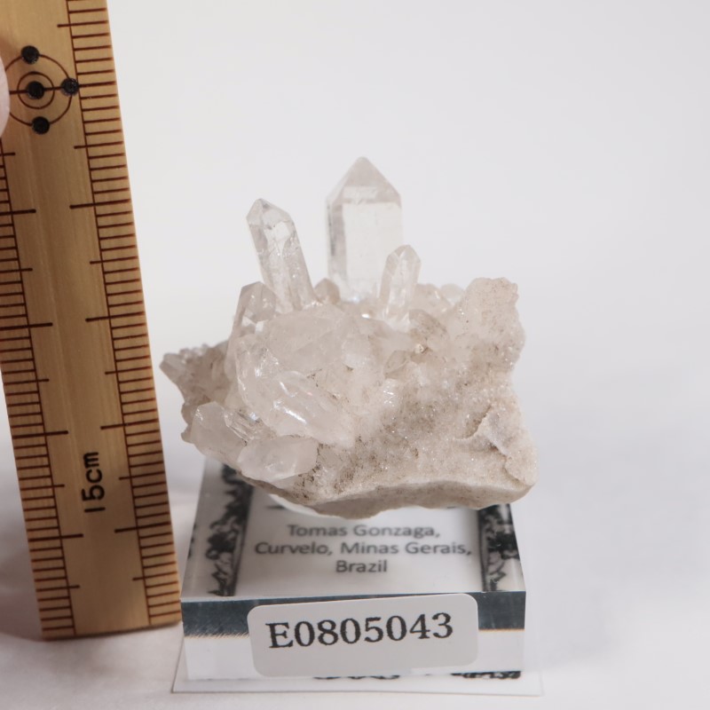 ブラジル産 クォーツ | 鉱物標本,カ行,クォーツ/水晶 | ほたるみ