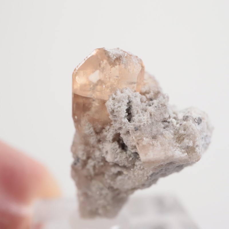 University of Utah ユタ州立大 鉱山・鉱物産業学部 記念メダル University of Utah ユタ州立大 鉱山・鉱物産業学部 記念メダル