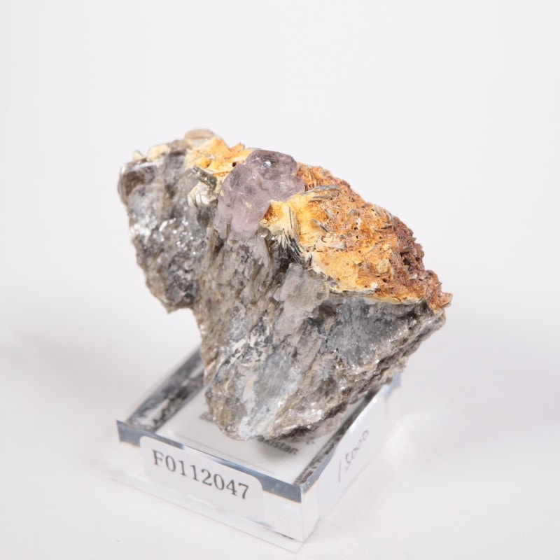 �ѥ������� ���ѥ�����