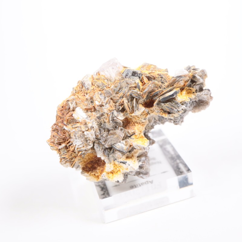 �ѥ������� ���ѥ�����