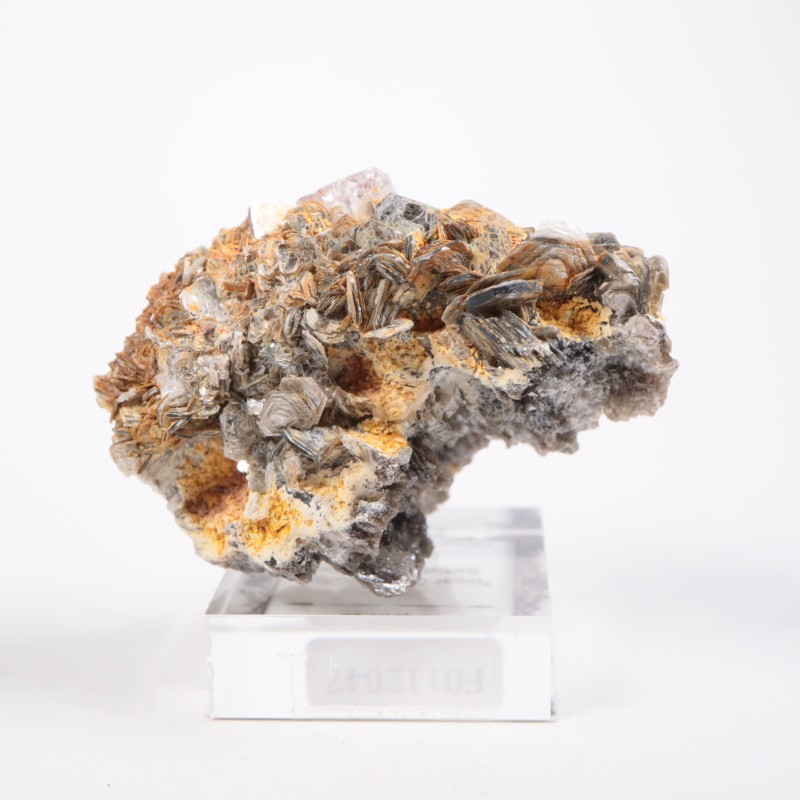 �ѥ������� ���ѥ�����