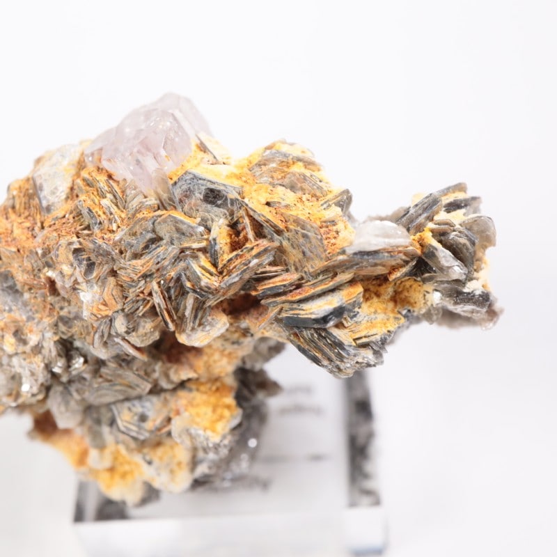 �ѥ������� ���ѥ�����