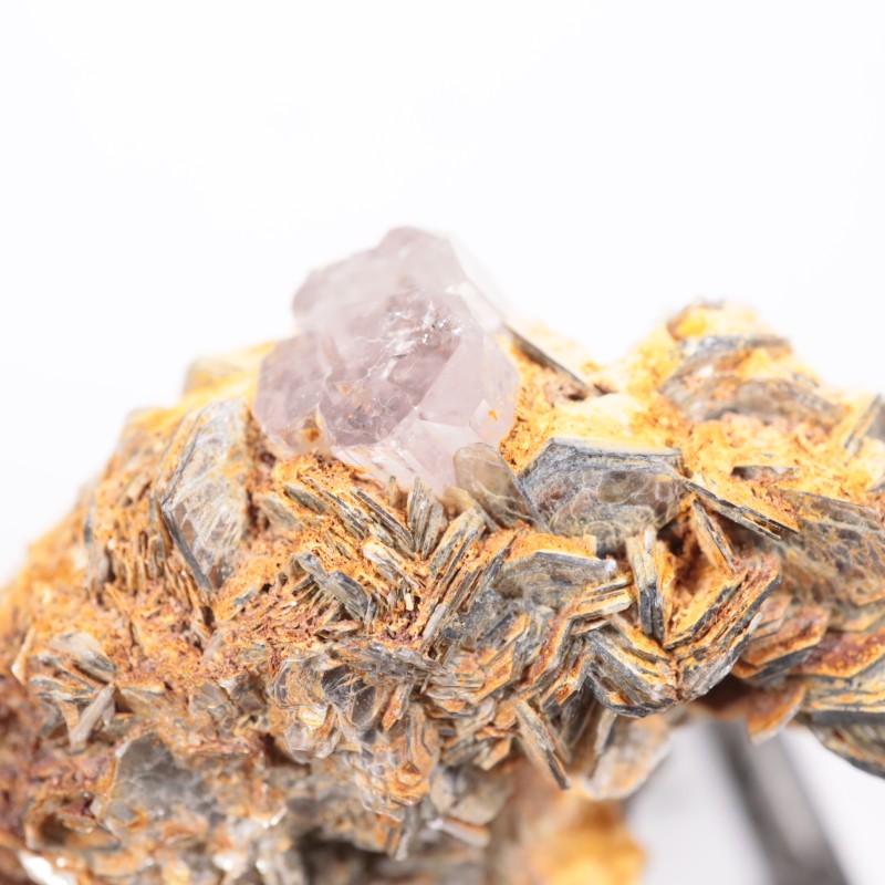 �ѥ������� ���ѥ�����