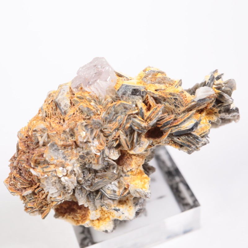 �ѥ������� ���ѥ�����