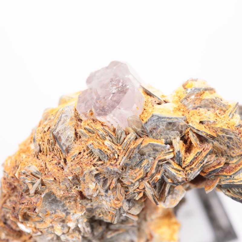 �ѥ������� ���ѥ�����