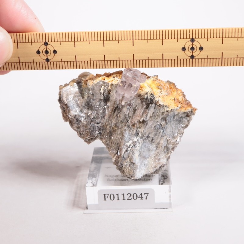 �ѥ������� ���ѥ�����