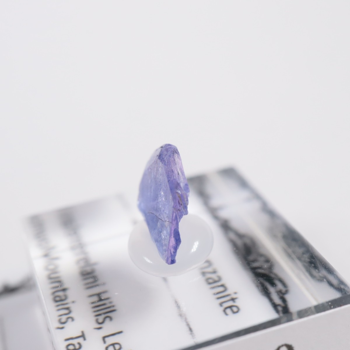 ����˥ҥ륺�� ���󥶥ʥ���