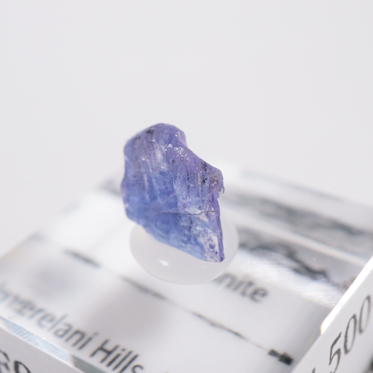 ����˥ҥ륺�� ���󥶥ʥ���