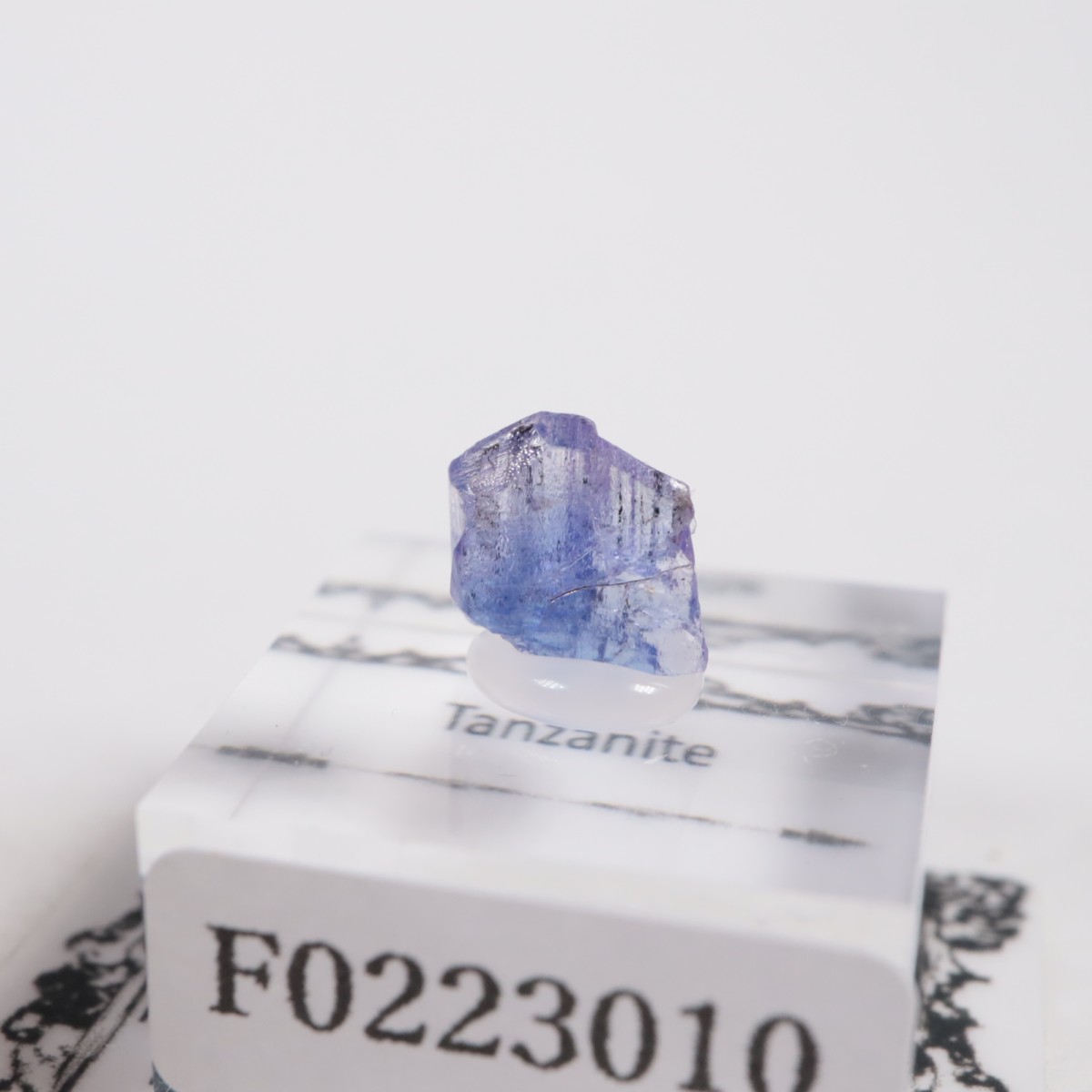 ����˥ҥ륺�� ���󥶥ʥ���