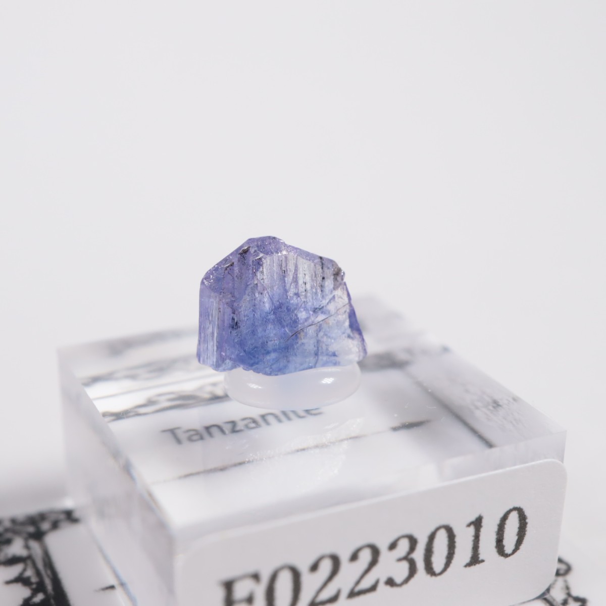 ����˥ҥ륺�� ���󥶥ʥ���