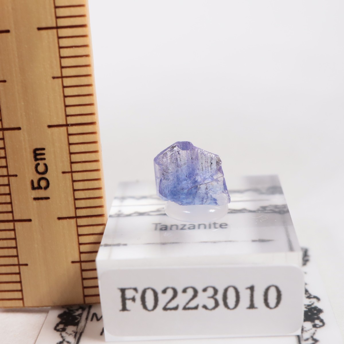 ����˥ҥ륺�� ���󥶥ʥ���