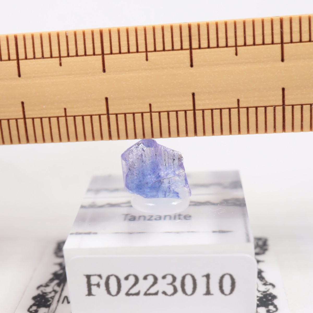 ����˥ҥ륺�� ���󥶥ʥ���