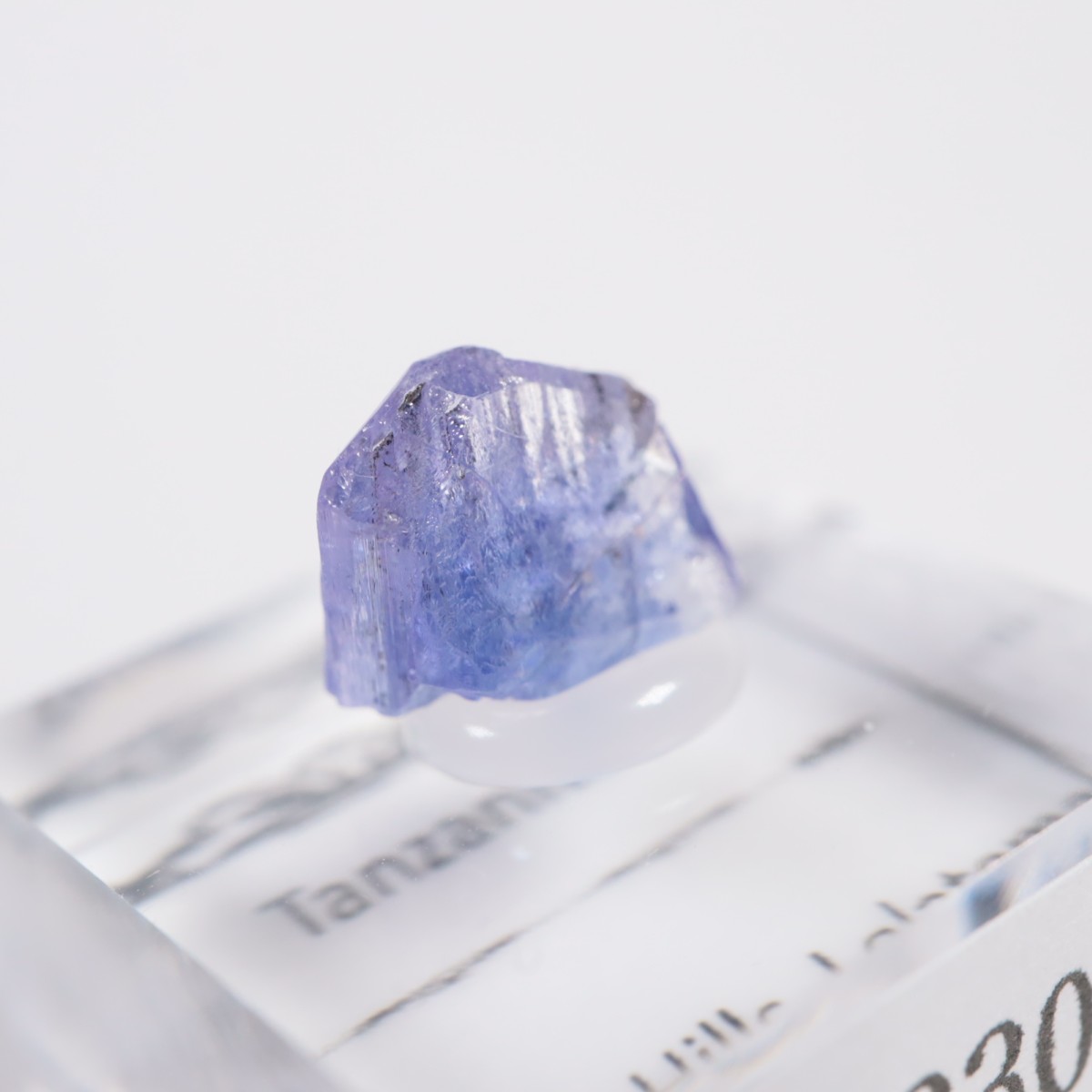 ����˥ҥ륺�� ���󥶥ʥ���