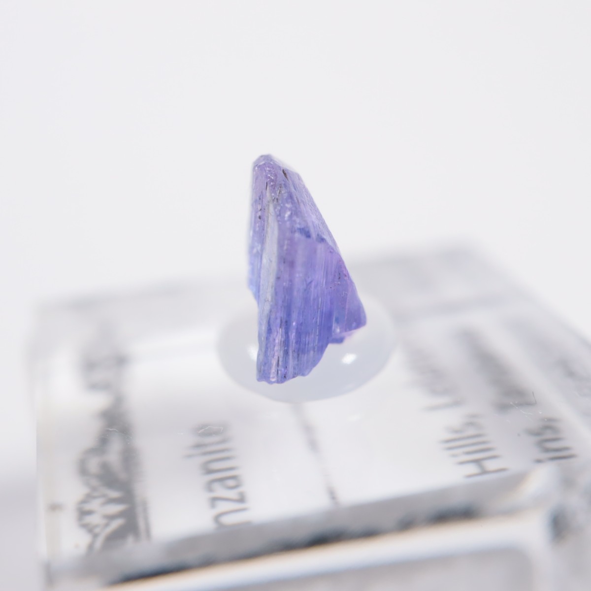 ����˥ҥ륺�� ���󥶥ʥ���