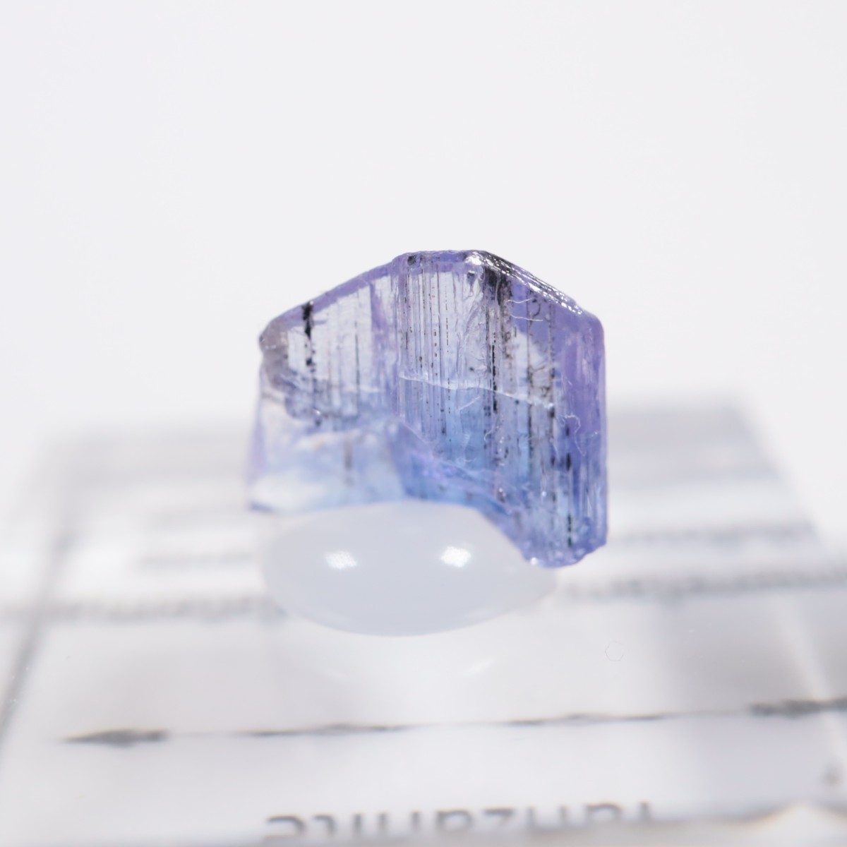 ����˥ҥ륺�� ���󥶥ʥ���