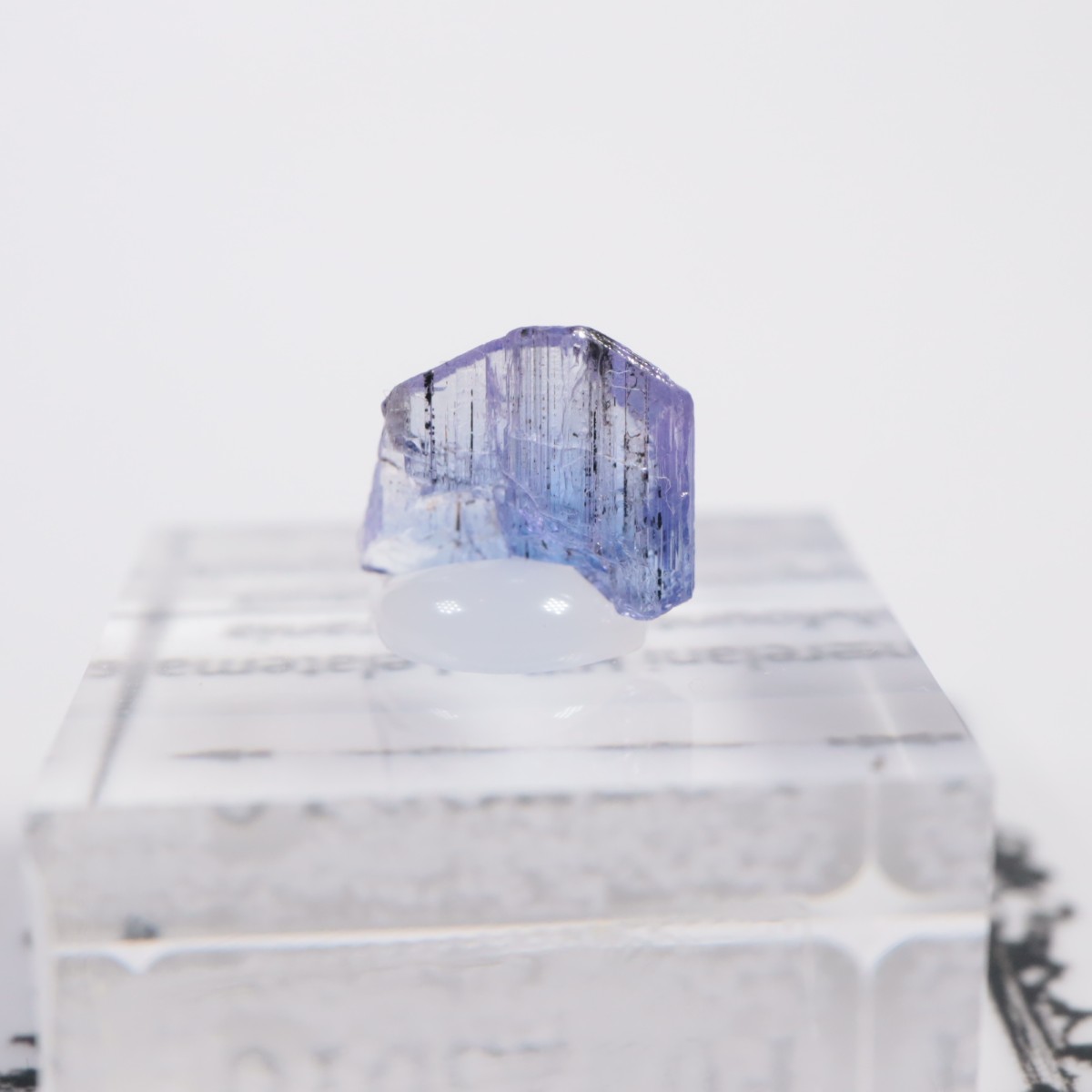 ����˥ҥ륺�� ���󥶥ʥ���