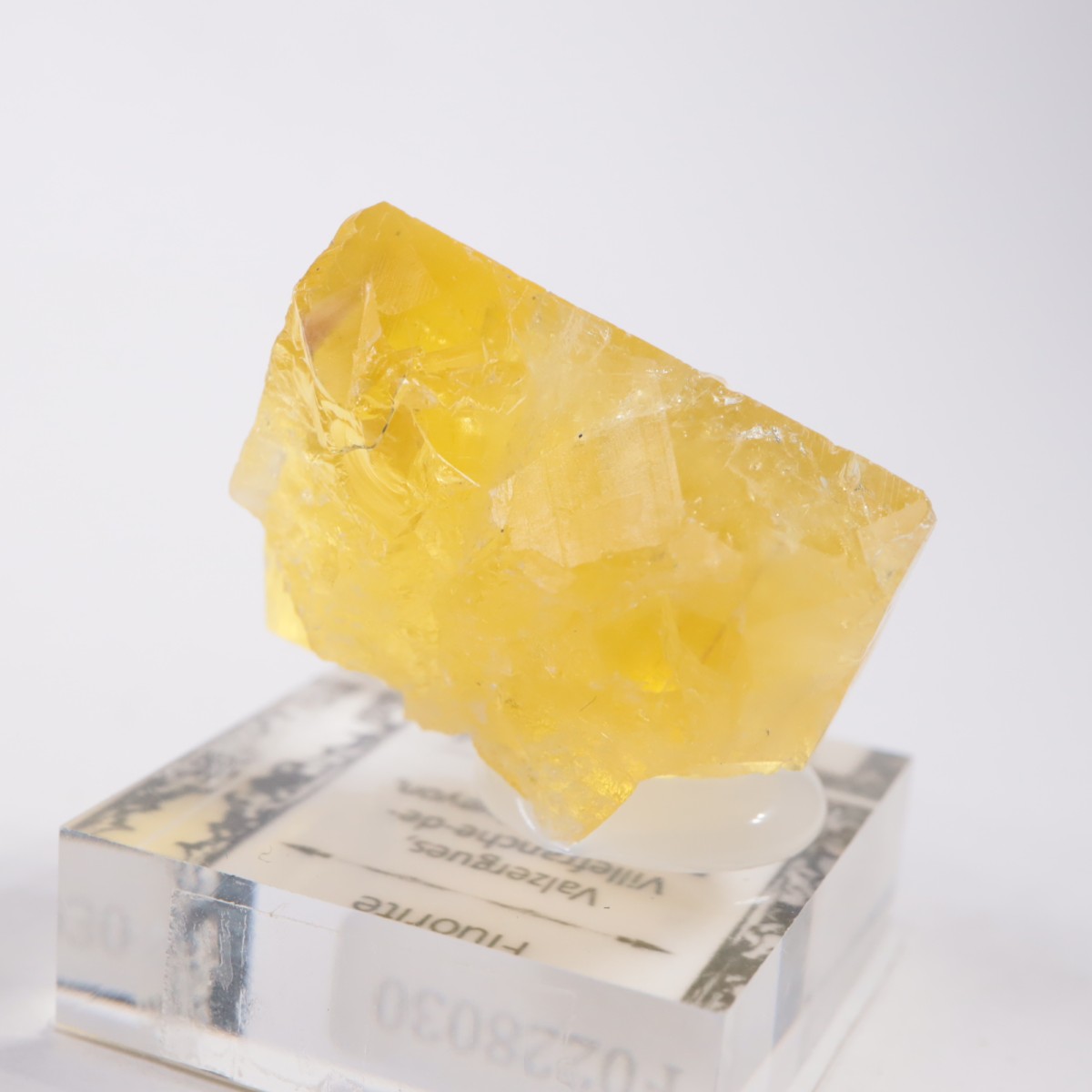 �ե�󥹻� �ե����饤��