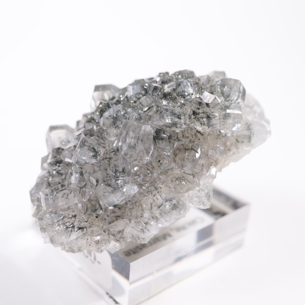 Linwood�ۻ� ���륵���ȡ��ޡ���������