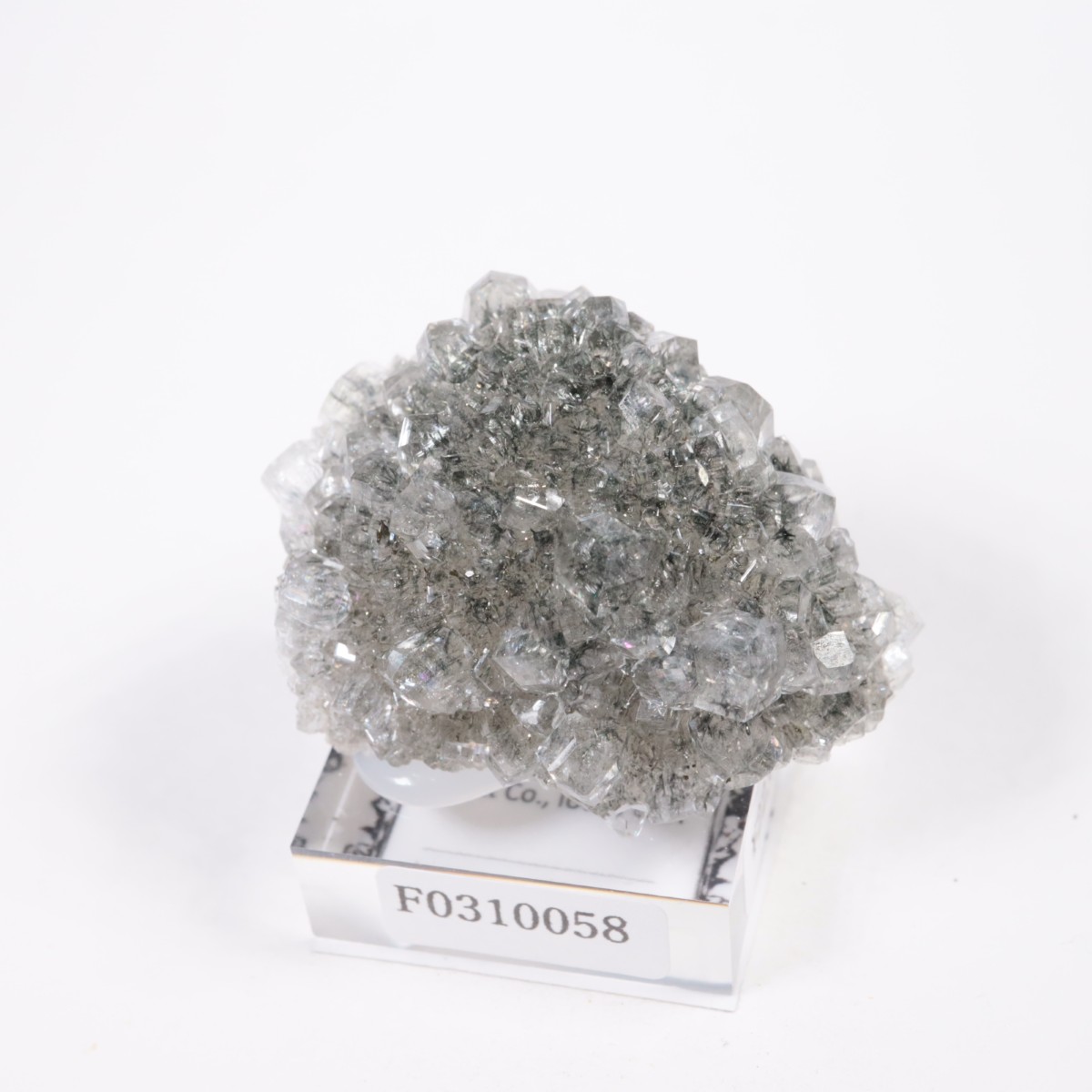 Linwood�ۻ� ���륵���ȡ��ޡ���������