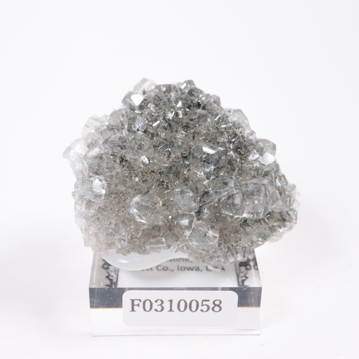 Linwood�ۻ� ���륵���ȡ��ޡ���������