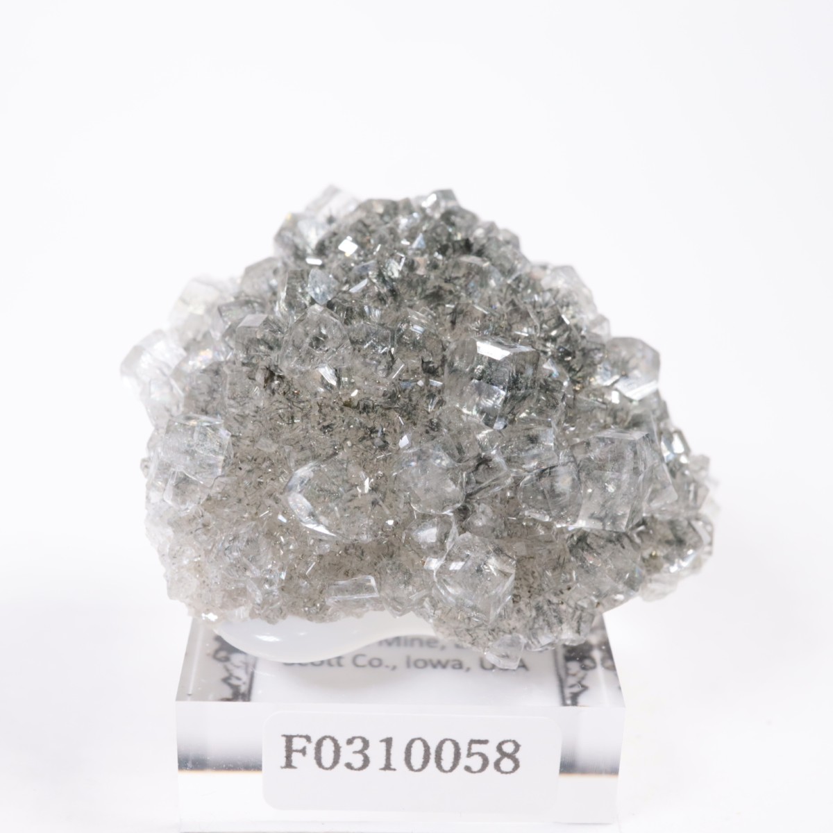 Linwood�ۻ� ���륵���ȡ��ޡ���������