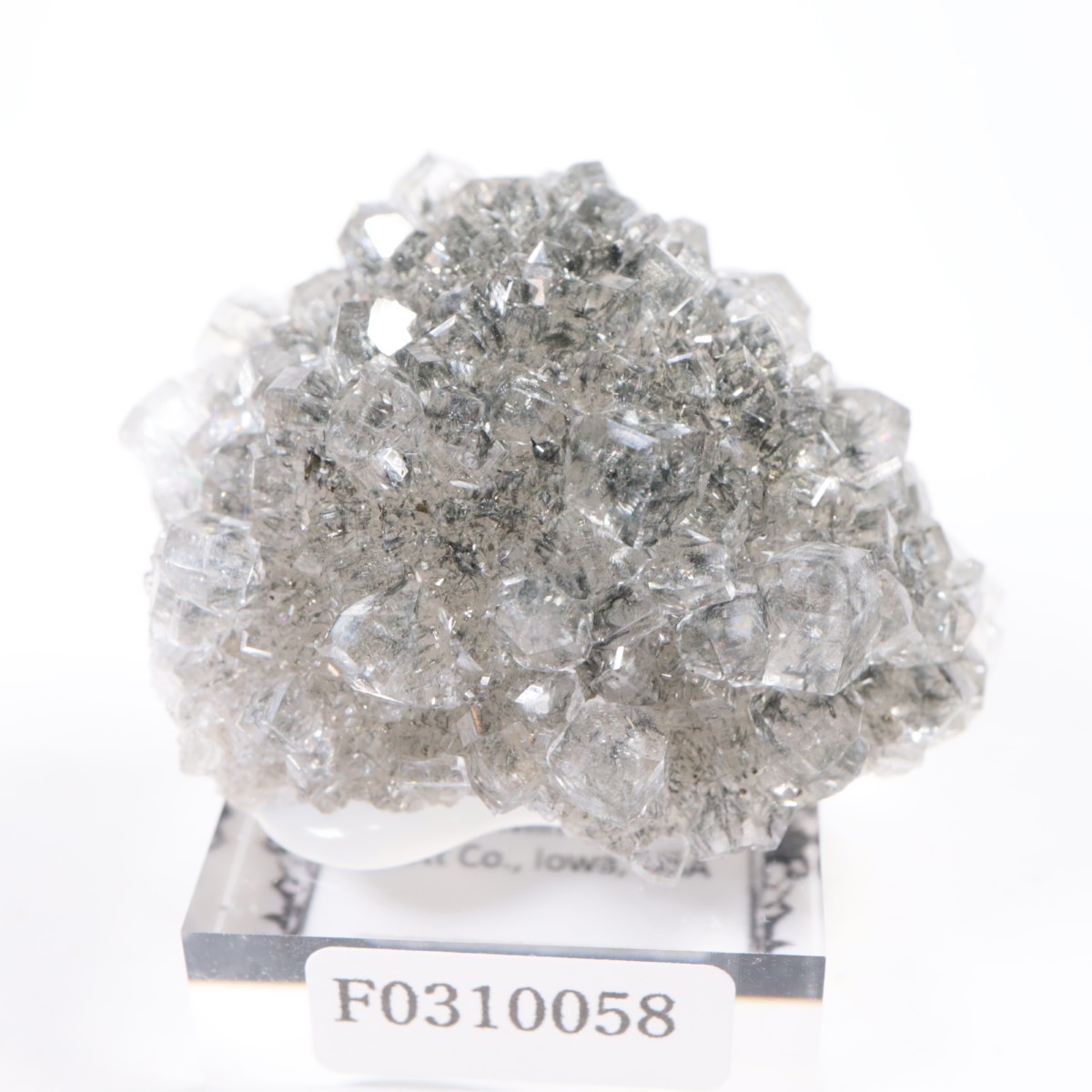 Linwood�ۻ� ���륵���ȡ��ޡ���������