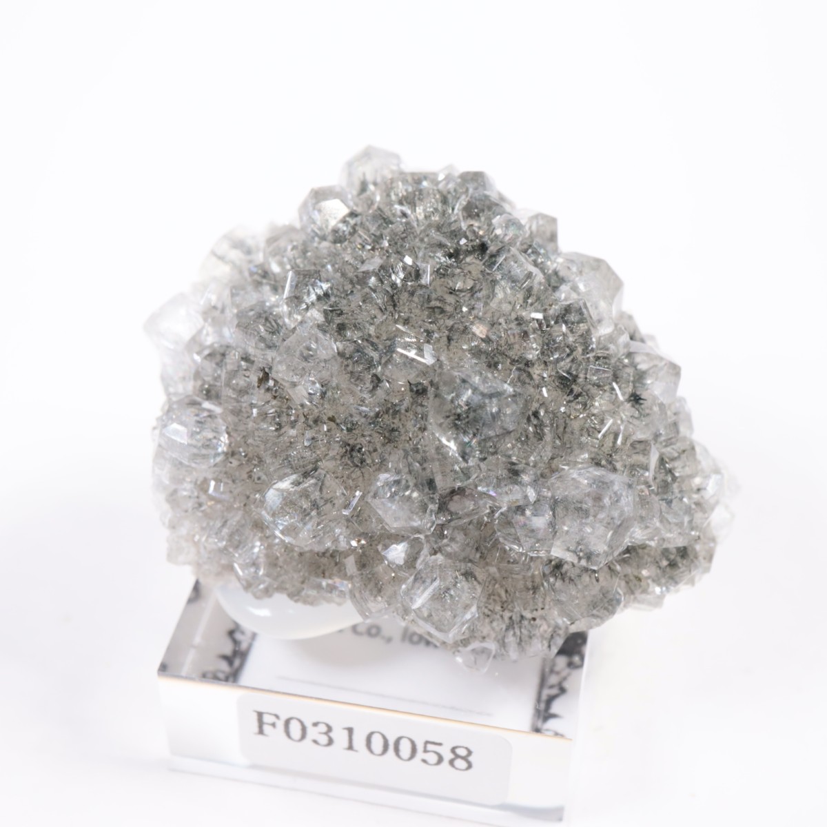 Linwood�ۻ� ���륵���ȡ��ޡ���������