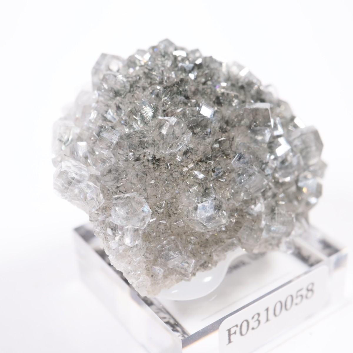 Linwood�ۻ� ���륵���ȡ��ޡ���������