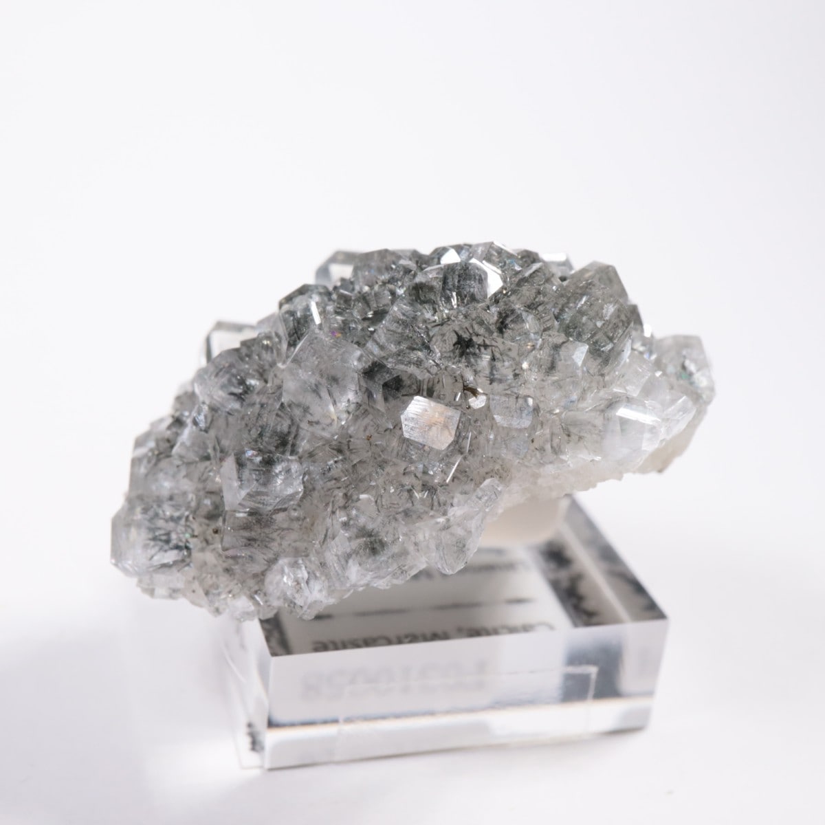 Linwood�ۻ� ���륵���ȡ��ޡ���������