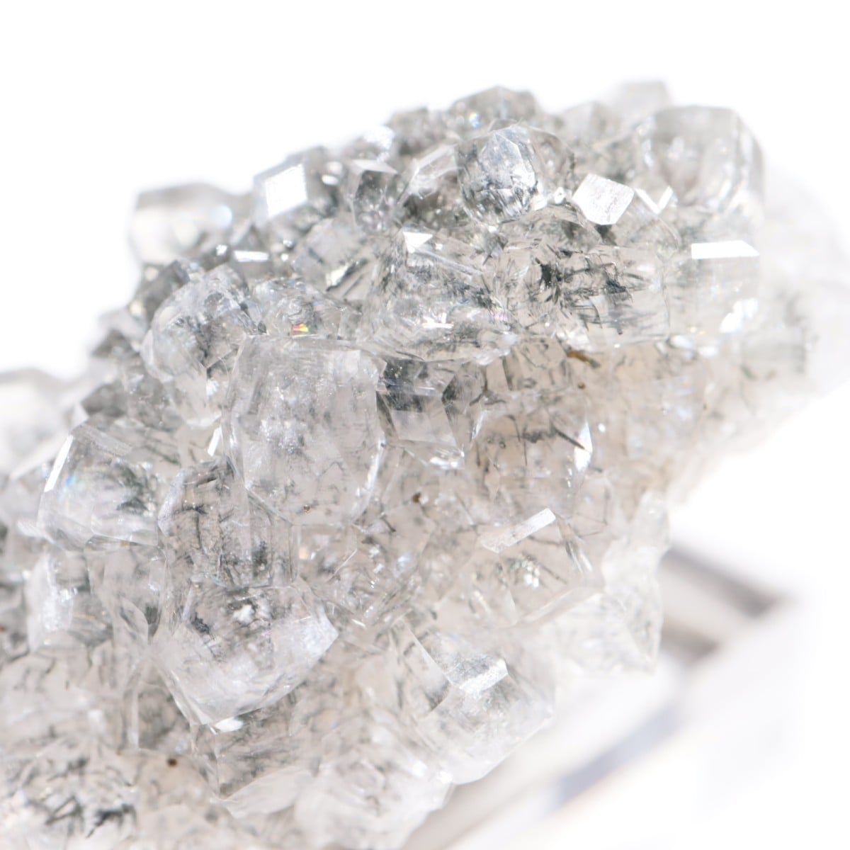 Linwood�ۻ� ���륵���ȡ��ޡ���������