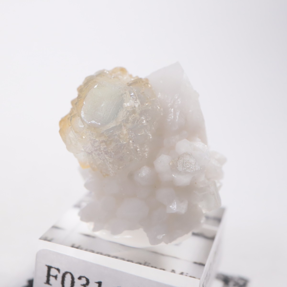 ���󥴥뻺 �ե����饤��