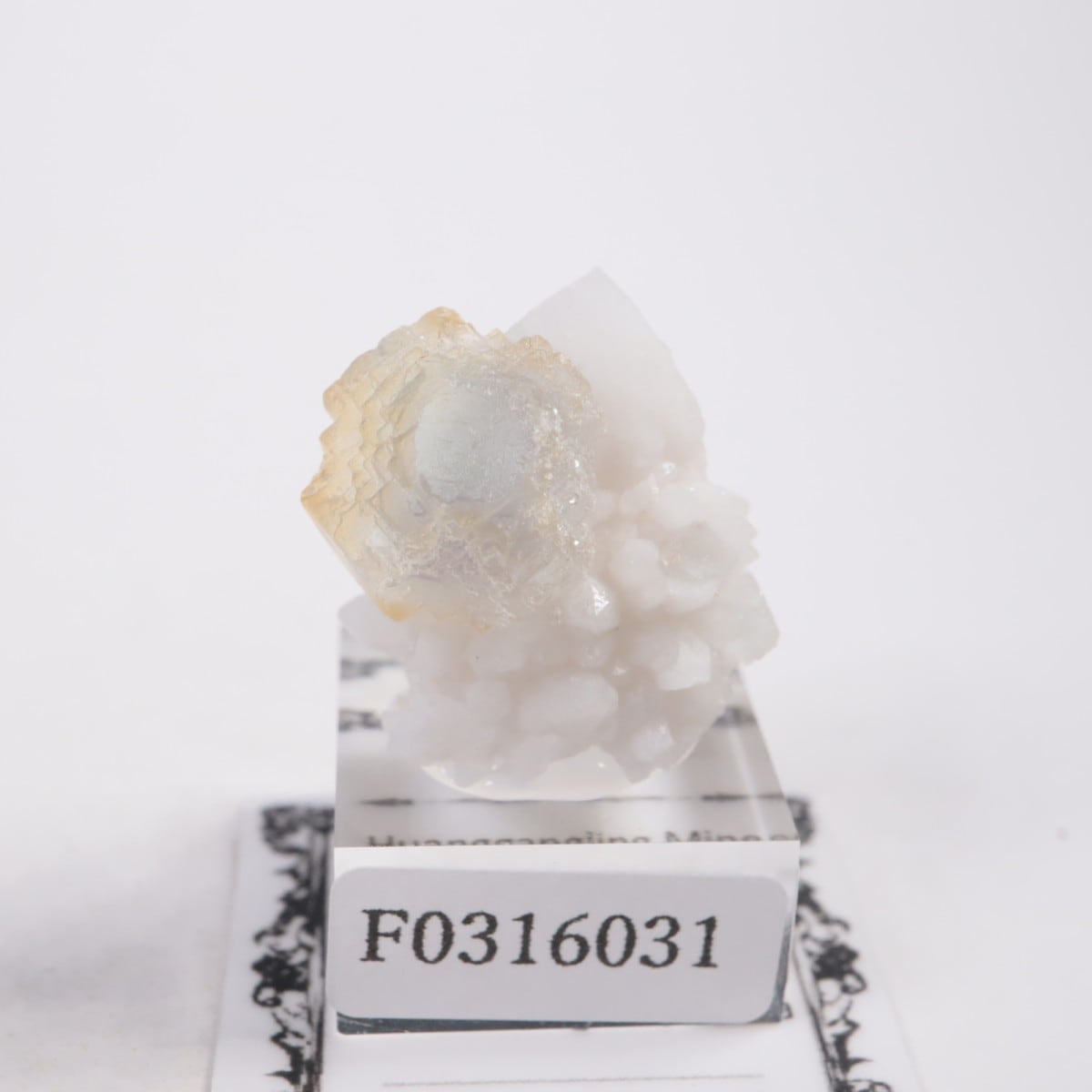 ���󥴥뻺 �ե����饤��