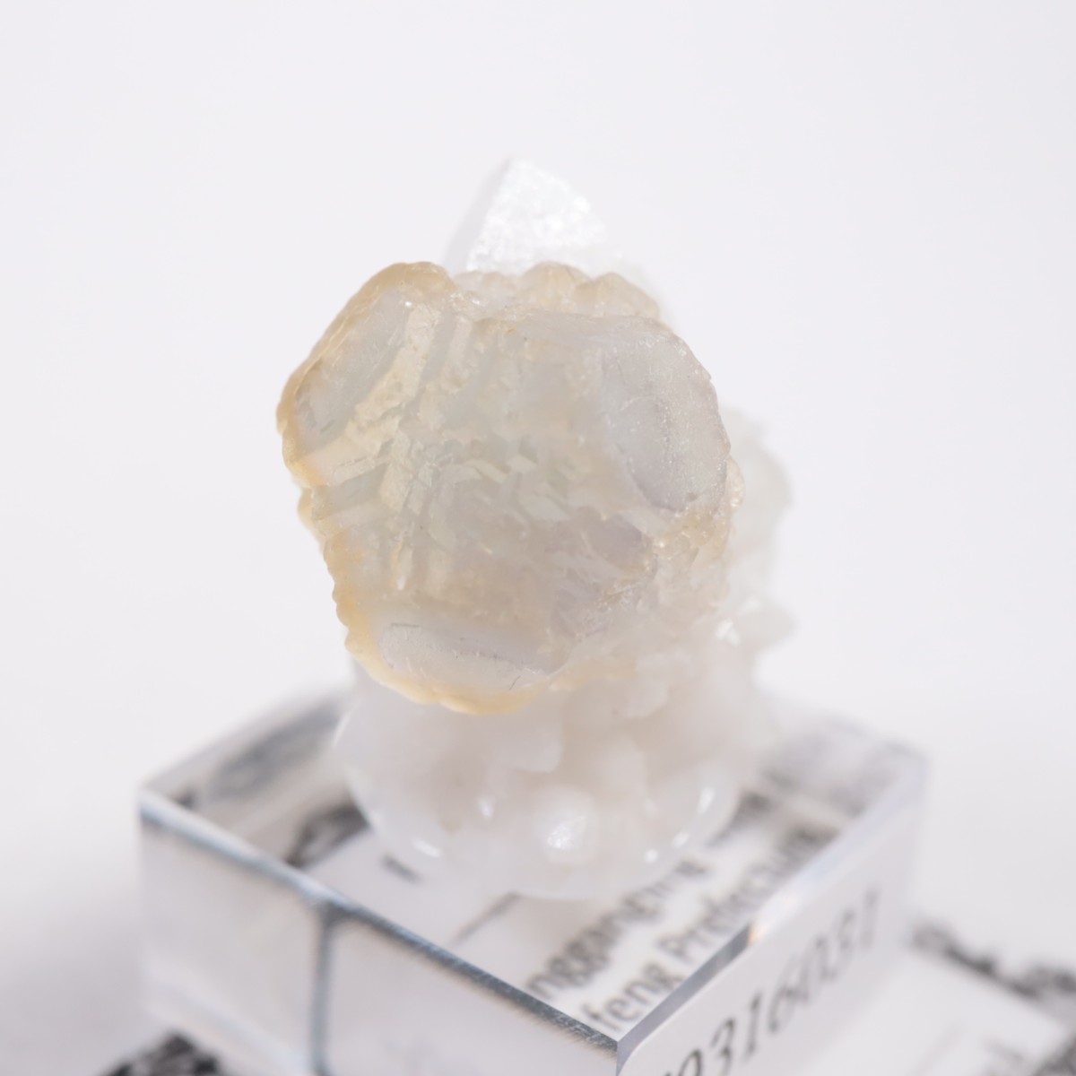 ���󥴥뻺 �ե����饤��