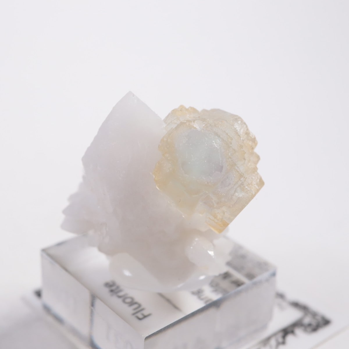 ���󥴥뻺 �ե����饤��