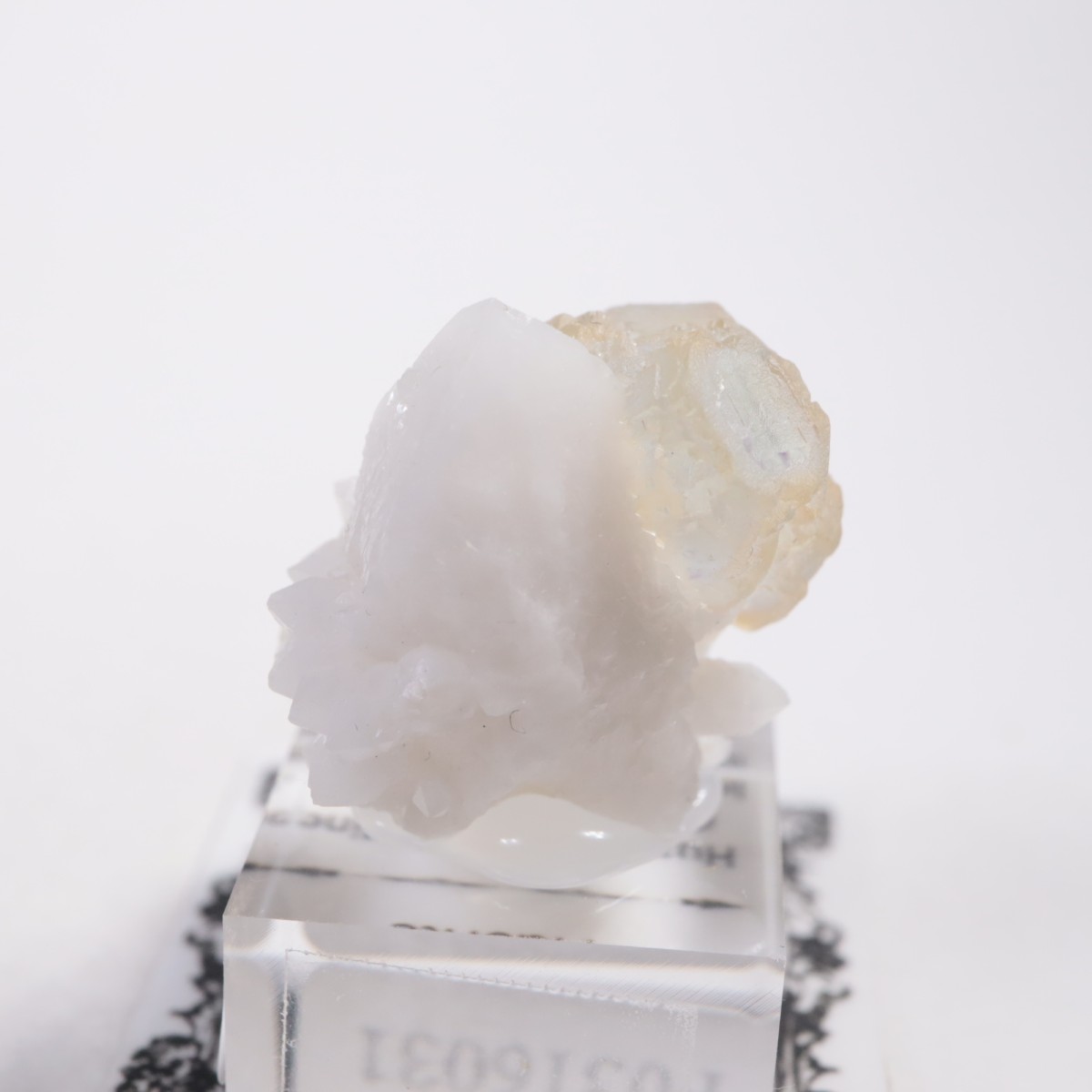 ���󥴥뻺 �ե����饤��