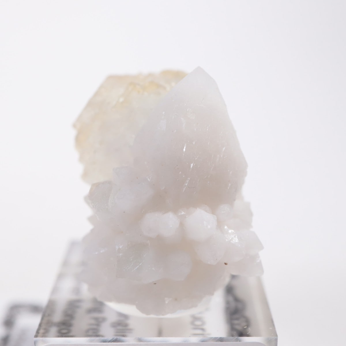 ���󥴥뻺 �ե����饤��